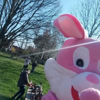 Osterhase