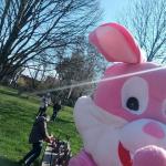 Osterhase